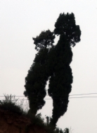 Ϸ