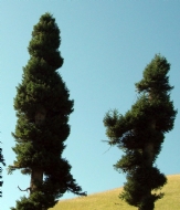 Ϸ