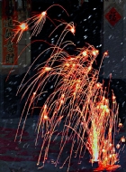 ʮѩ
