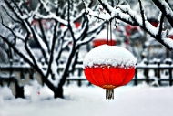 瑞雪